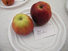 Category:Red Delicious - Wikimedia Commons