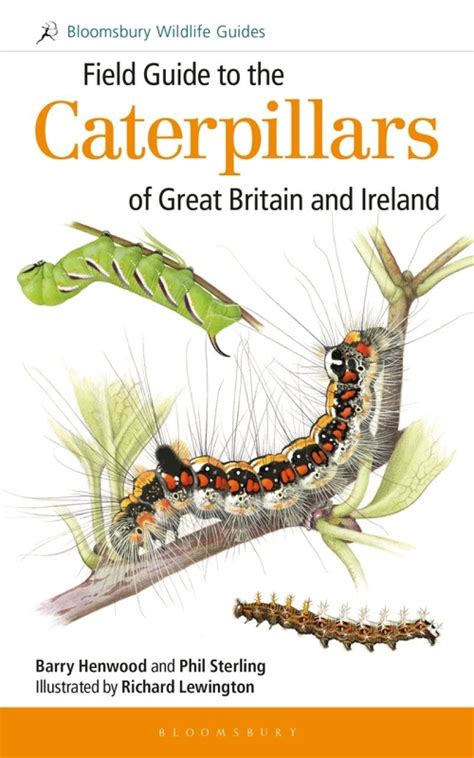 Field Guide To The Caterpillars Of Great Britain And Ireland Nhbs