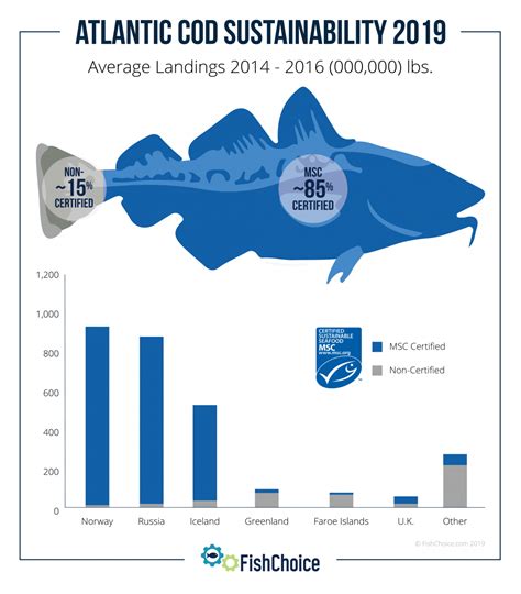 Atlantic Cod Fishchoice