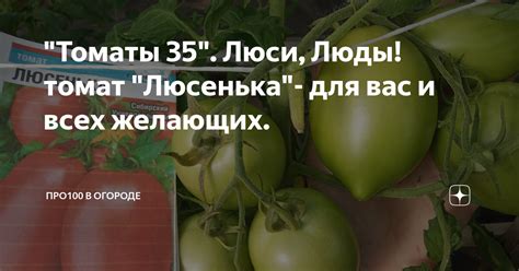 "Томаты 35". Люси, Люды! томат "Люсенька"- для вас и всех желающих ...