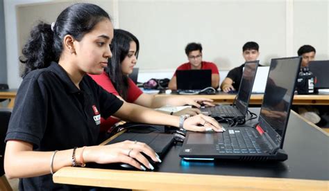 bba  bba honours  path     chitkara blogs