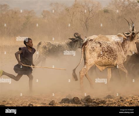 Mbororo Hi Res Stock Photography And Images Alamy