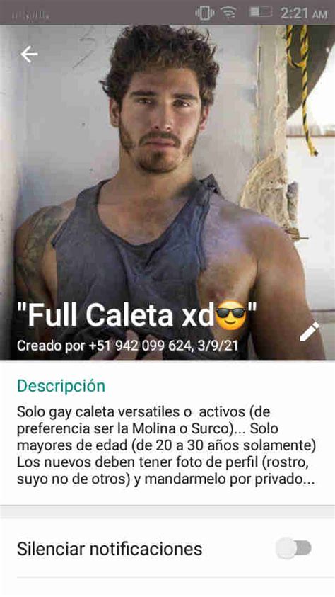 Grupos GAY de WhatsApp de PERÚ GAY Groups in WhatsApp Guia GAY Colombia
