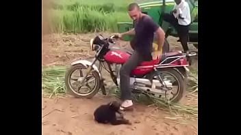 VID 20170522 WA0339 XVIDEOS