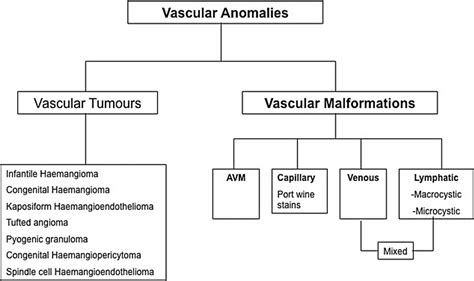 Imaging And Management Of Head And Neck Vascular Anomalies Ent