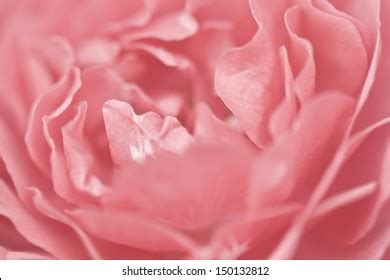 sexo coño vulva clítoris vagina orgasmo Foto de stock Shutterstock