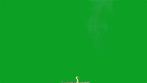 Dirt Charge 09 Green Screen Chroma Key Effects Green Screen Chroma Key