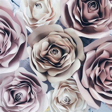 Nude And Gold Backdrop Etsy