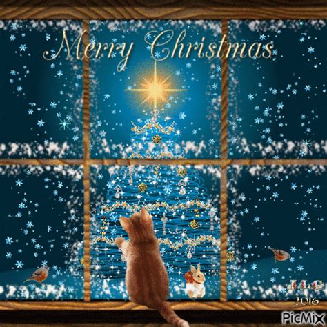 Merry Christmas Window Kitten Free Animated  Picmix