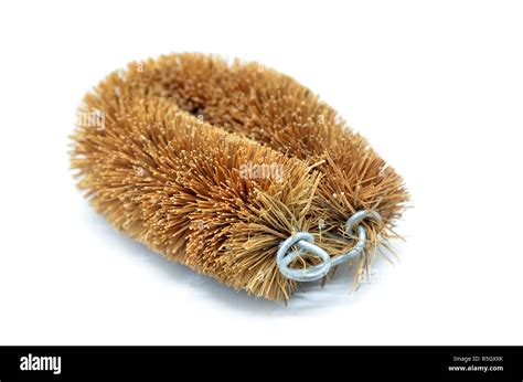 Coconut Husk Brush Stock Photo Alamy