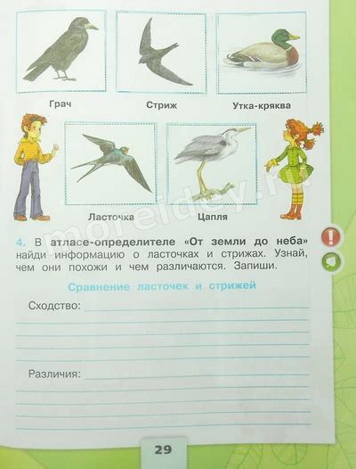 Чем похожи и чем различаются ласточки и стрижи 2 класс атлас определитель