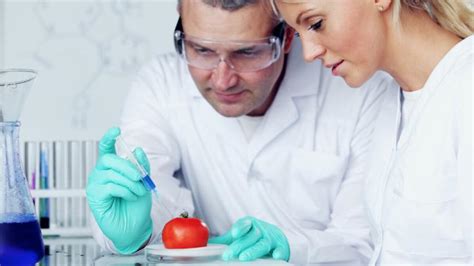 Assessing The Safety Of Genetically Modified Foods According To Fsanz