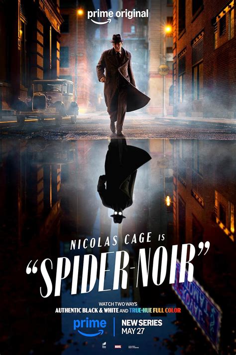 spider noir tv series