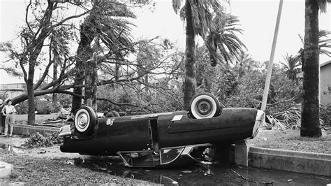 Remembering Hurricane Carla Flooding Texas With Deadly Snakes