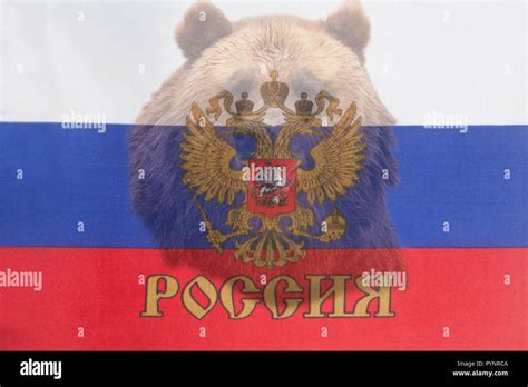 Картинки С Медведем И Флагом России - 57 фото