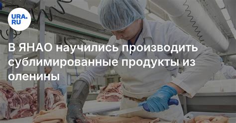 Сублимированный гуляш и бульон из оленины начали производить в ЯНАО