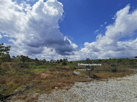 Acres Durian Farm Mainroad Simpang Pertang Jelebu Negeri Sembilan