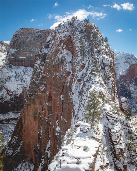 Why you definitely need to visit Zion National Park in Winter — Walk My ...