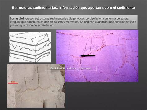 Estructuras Sedimentarias Ppt