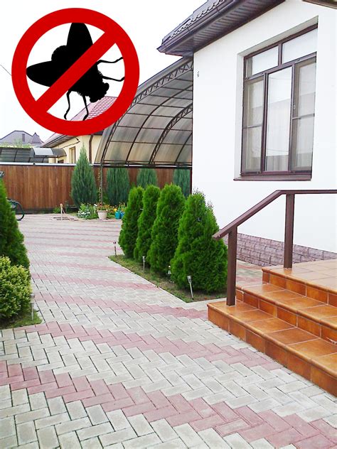 Обработка от мух в Тольятти, уничтожение личинок мух