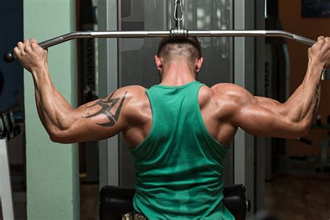 Best Back Workouts For Men Men S Fit Club