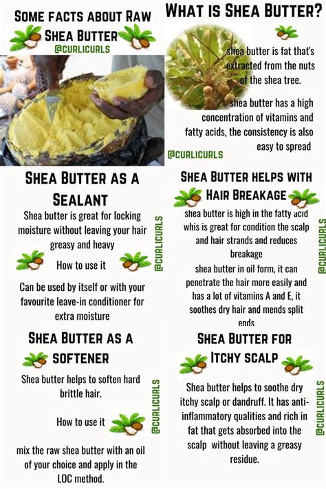 Shea Butter Hair Benefits