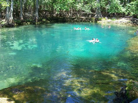 File:Manatee Springs State Park Florida springs05.jpg - Wikipedia, the