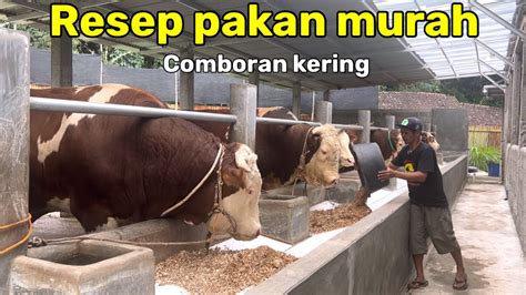 Resep Pakan Sapi Comboran Kering ABK 1 Orang Bisa Tangani 40 Ekor YouTube