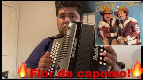 Flor De Capomo Acordeon De Sol Tutorial Facil Para Principiante Youtube