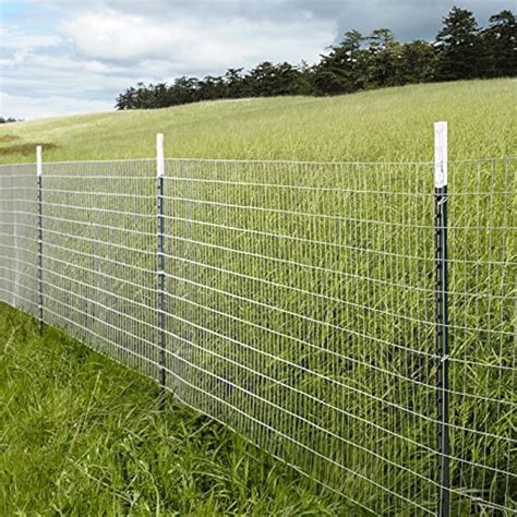 Mtb Galvanized Welded Wire Mesh Garden Economy Fence 48 X50 2x3