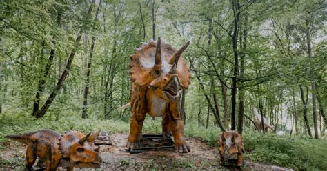 ПАРК РОЗВАГ «УРУРУ»