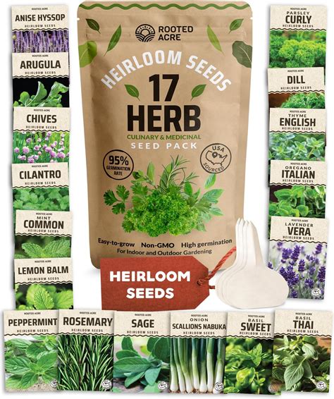 Amazon.com : Herb Seeds 15 Variety Pack - Non GMO, Heirloom Seeds for
