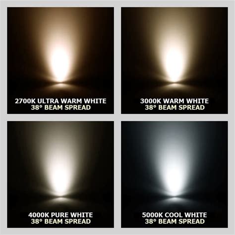 led  bulbs  watts   watts cc lights