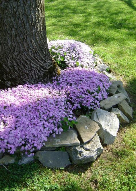 How To Use Edging Stones To Make Your Garden Better