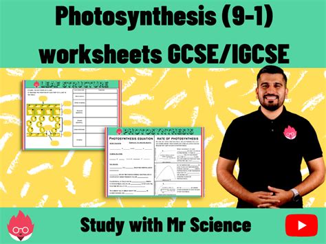 Photosynthesis Biology Igcsegcse Pdf Teaching Resources