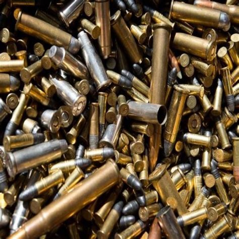 magnum overview catch  wmr  hunting defense