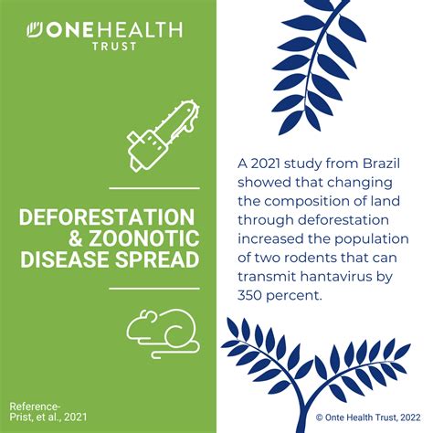 Deforestation And Zoonotic Disease Spread One Health Trust