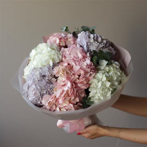 Букет гортензий НЕЖНЫЙ МИКС, 7 шт