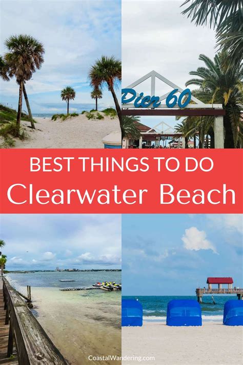 17 fun things to do in clearwater beach florida – Artofit