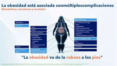 Obesidad mórbida en América Latina un problema de salud que excede la cuestión de peso Infobae