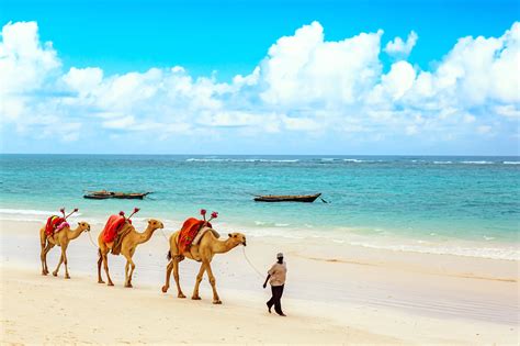 Discover Djibouti’s Stunning Sights & Vibrant Culture - Djibouti eVisa