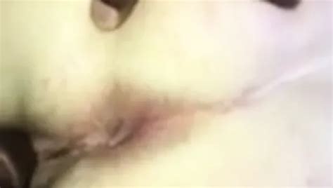 Free Close Up Anal Porn Videos Xhamster
