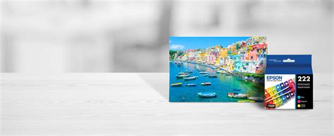 Epson 222 - Black - original - hanging box - ink cartridge | Dell USA