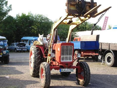 MTS 50 mit Hublader nd Tierischen Beifahrer auf dem ehem ...