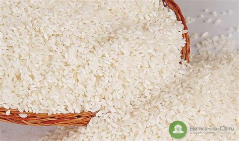 Цены на рис в России могут вырасти на 30% из-за неурожая - Новости ...