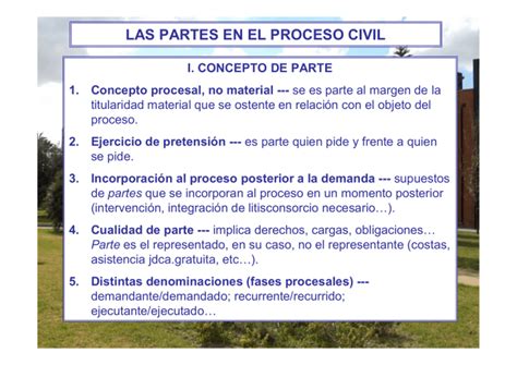 Las Partes En El Proceso Civil