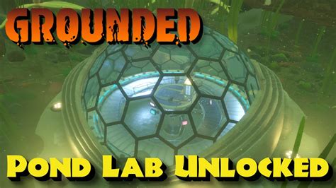 Pond Lab Unlocked 19 Grounded Shroom Doom YouTube