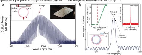 Silicon Chip Based Brillouin Lasers And Soliton Microcombs Using An