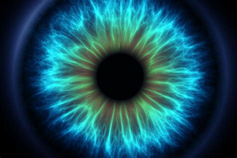 How The Eye Works | Pasco Vision Clinic