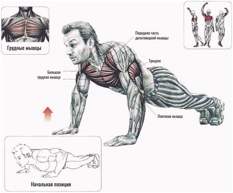 Что будет, если отжиматься каждый день: можно ли так накачаться и ...